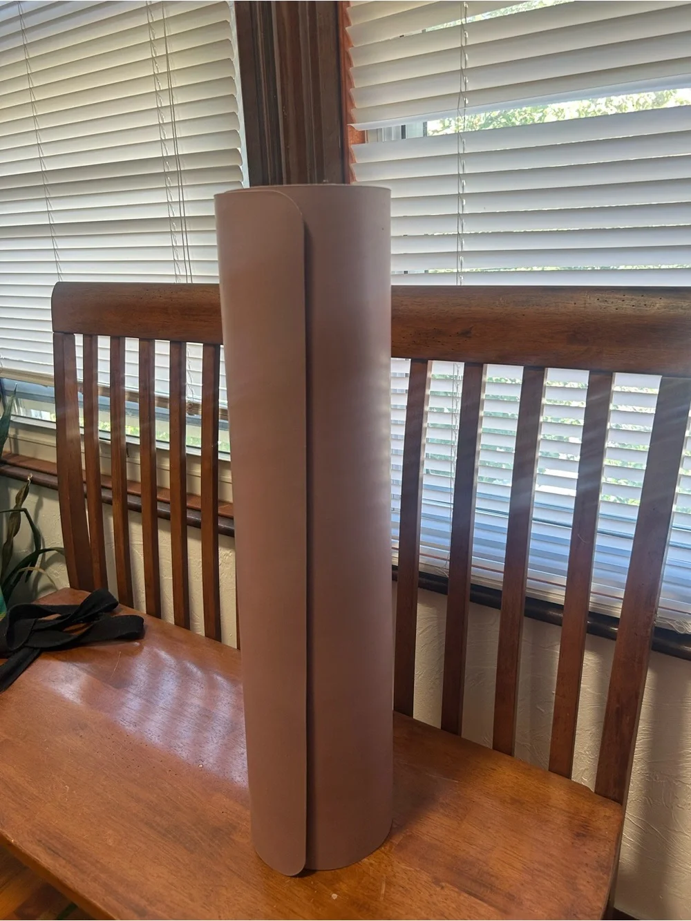 Alo Warrior Yoga Mat in Dusty Rose